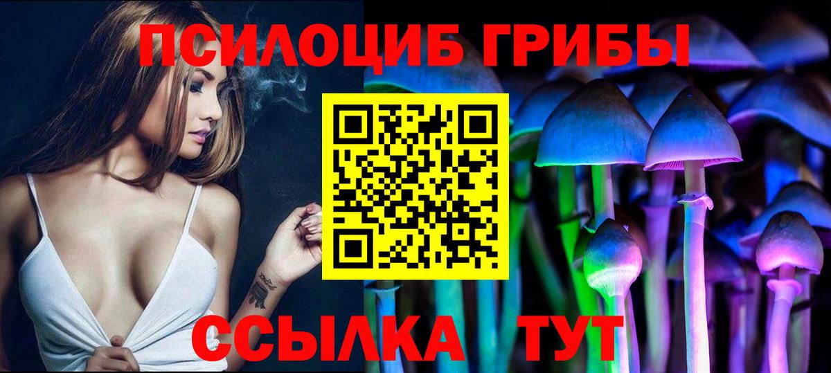 Кисловодск  Псилоцибиновые грибы прущие грибы  Вход с VPN 