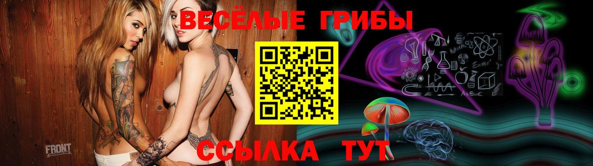 Псилоцибиновые грибы Psilocybine cubensis Кисловодск