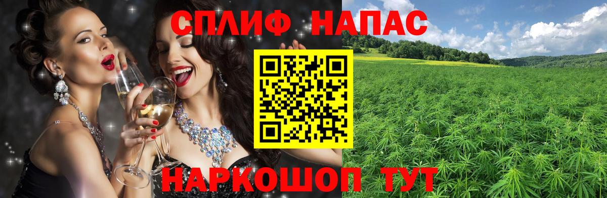 Марихуана план Кисловодск